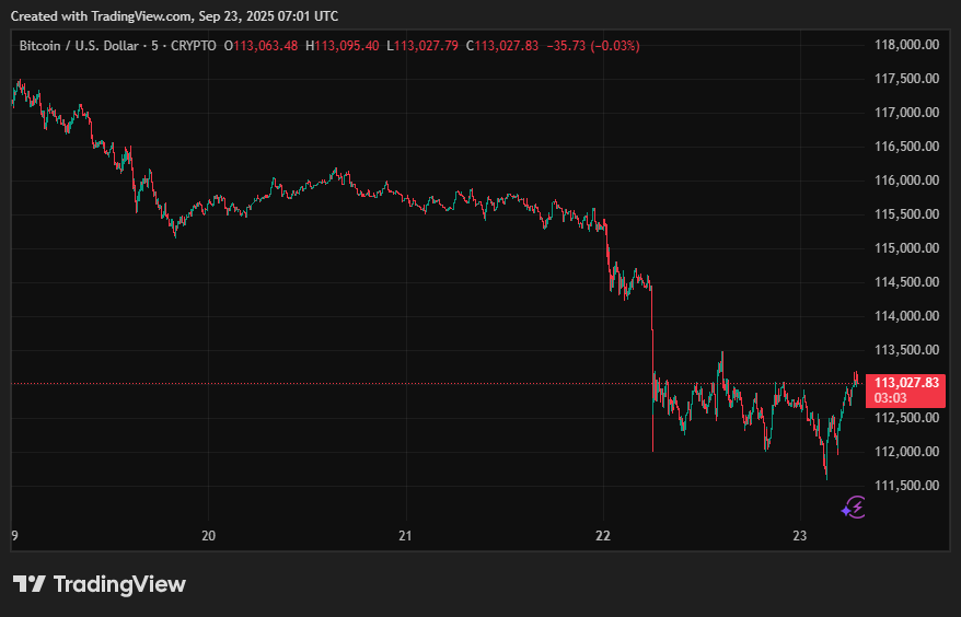 TradingView